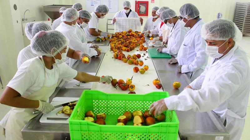 Agroindustria, Construcción, Minería, Pesca y Manufactura operarán con normalidad durante cuarentena