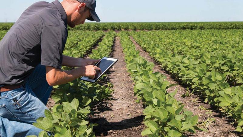 Agroindustriales captan profesionales de  sus zonas de operaciones para evitar la restricción en desplazamientos