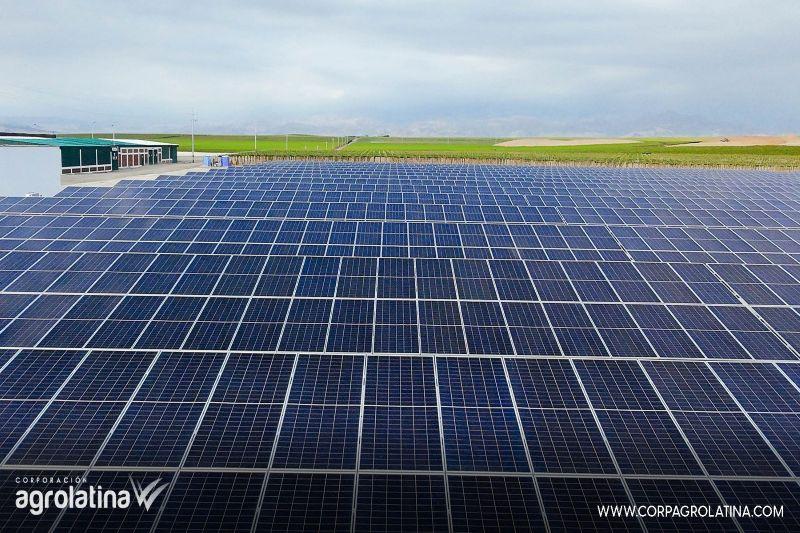 Agrolatina genera 3.2 megawatts de energía limpia con tres hectáreas de paneles solares