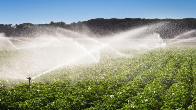 AGUA PARA LA AGRICULTURA DEL PERU: URGE POLITICA DE ESTADO 2027-203