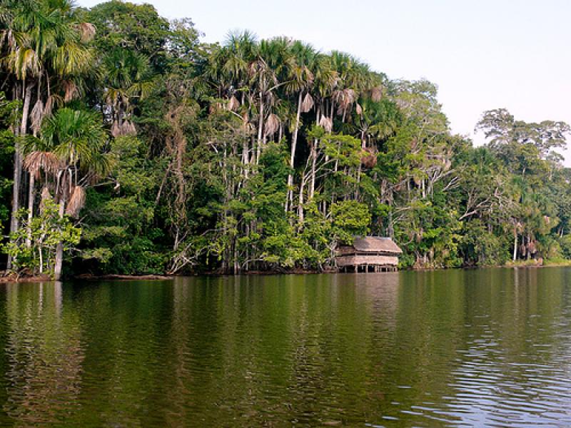 AIDESEP NO PARTICIPA EN DEBATE DE LEY FORESTAL