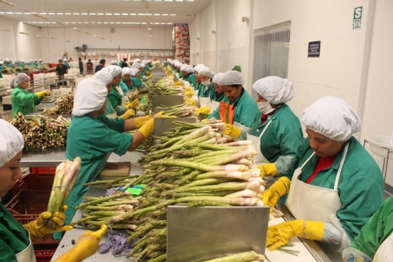 Alianza del Pacífico promueve participación de mujeres en el comercio internacional