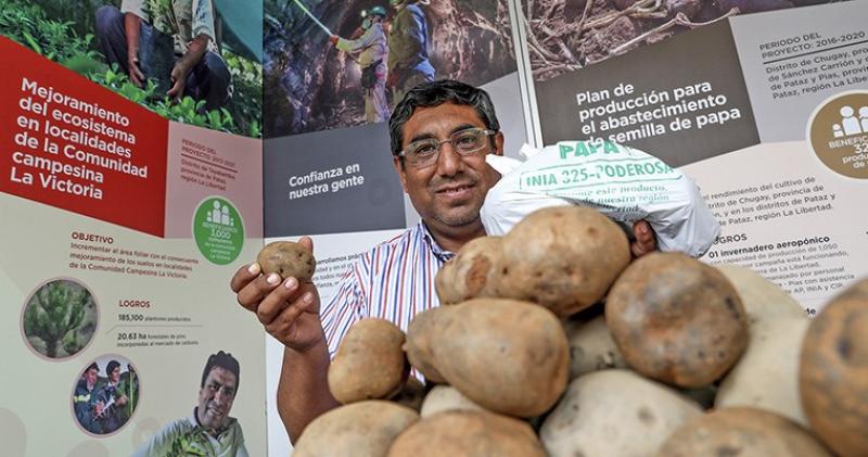 Alianza entre minera y promotores agrícolas permitió desarrollar variedad de papa “la poderosa”