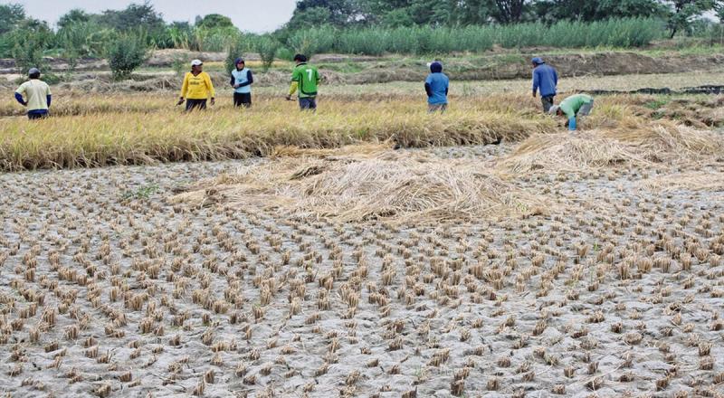 Almacenamiento de agua en principales reservorios del país sigue cayendo