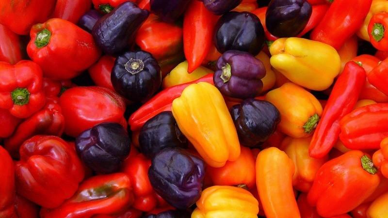 Alrededor de 11 mil pequeños productores se dedican al cultivo de capsicum en Perú