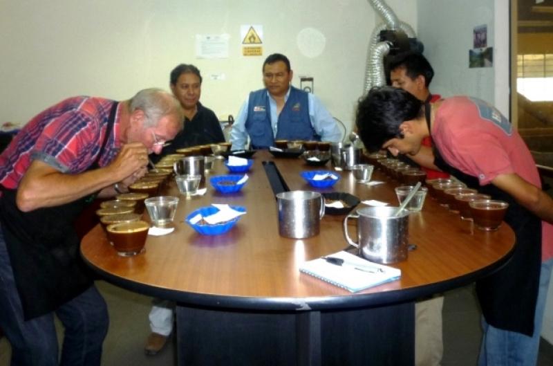 AMAZONAS: CAPACITAN PRODUCTORES PARA OBTENER \"CAFÉ ESPECIAL\" DE EXPORTACIÓN