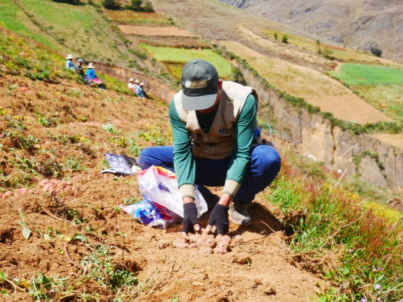 Áncash: piden que nuevo gobernador y alcaldes garanticen el agua y carreteras para agricultura familiar y de exportación