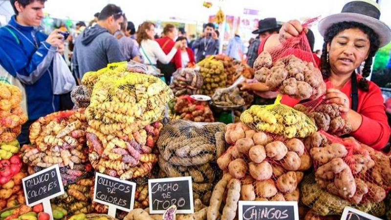 Aprueban lineamientos para la calendarización de ferias y eventos agropecuarios