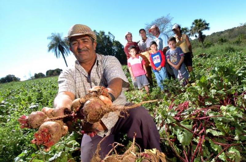 APRUEBAN REGLAMENTO DE LEY DE PROMOCIÓN DE AGRICULTURA FAMILIAR