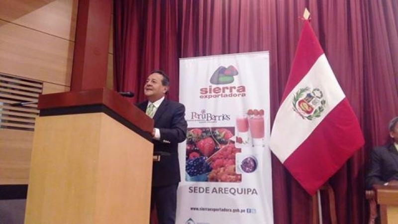 ARÁNDANO SERÍA LA TERCERA FRUTA MÁS EXPORTADA EN EL 2017