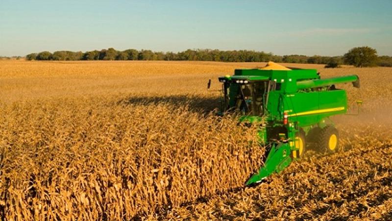 Argentina: Fuerte aumento de exportaciones agrícolas durante el primer semestre