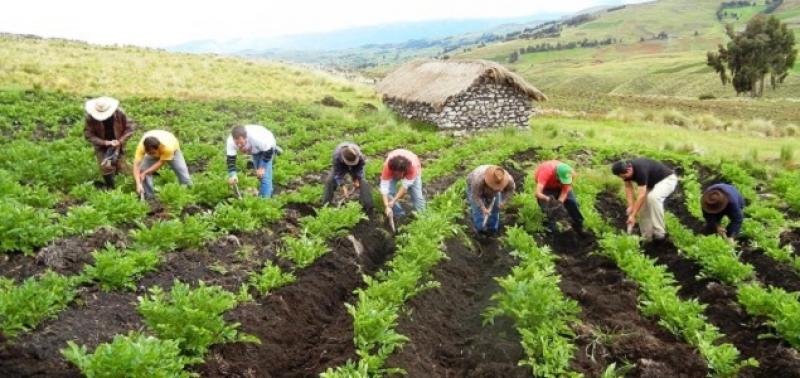 Arrancó implementación de proyectos para la producción resiliente de alimentos