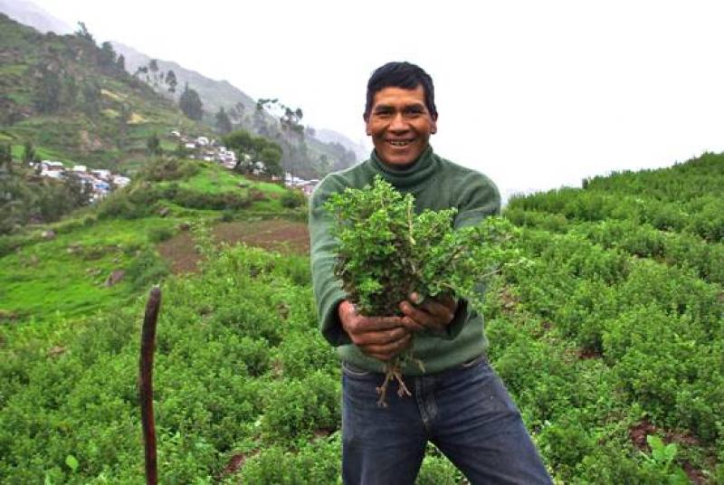 ASOCIACIONES DE PRODUCTORES ACCEDEN A FONDO AGROIDEAS