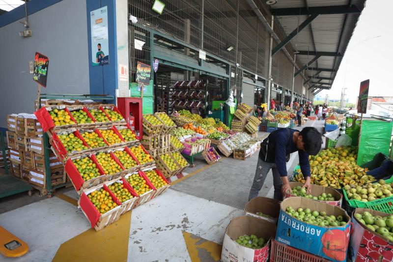 Ayer ingresaron más de 8 mil toneladas de alimentos a mercados mayoristas de Lima