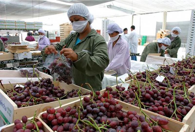 Balanza comercial agraria de Perú fue positiva en US$ 196 millones durante enero y febrero del 2017