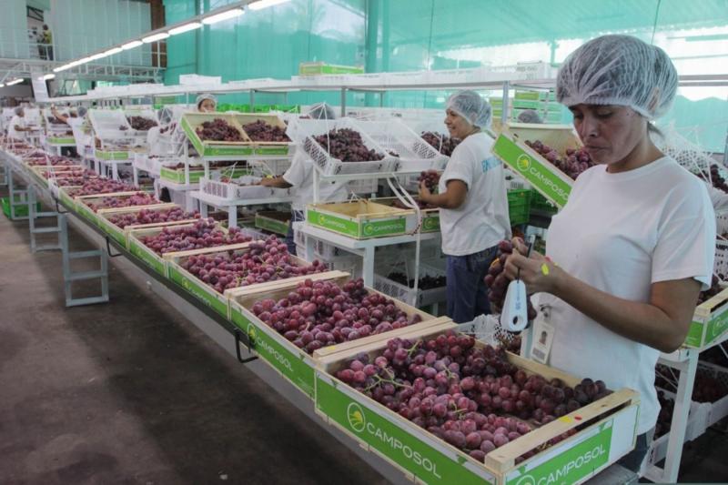 BCR: Empleo formal total (público y privado) en Perú creció 5.5% entre enero y abril de 2025, respecto a similar periodo del año anterior