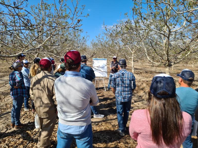 Big Data, Monitoreo Remoto, Imágenes Satelitales e Inteligencia Artificial son tendencias claves en la agricultura