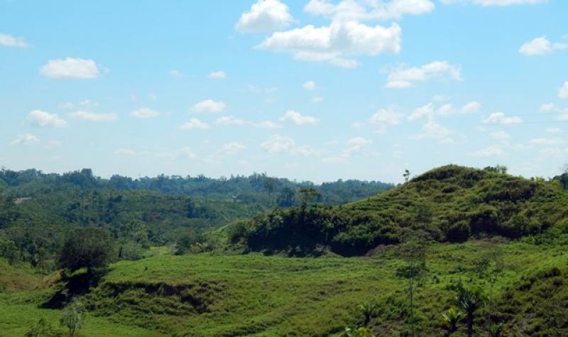 Brigadas de Serfor promoverán beneficios del  registro de plantaciones forestales en Huánuco