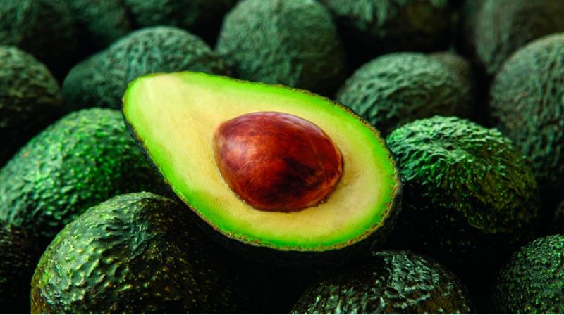 Buen inicio de la palta peruana gracias a los altos precios en Europa