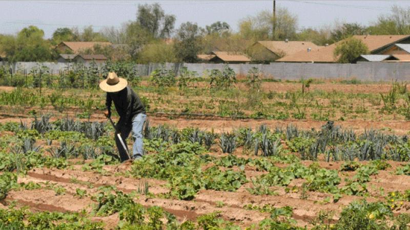 Buscan que trabajadores agrarios puedan afiliarse al régimen semicontributivo del SIS