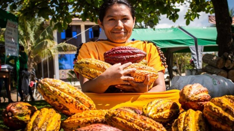 Cacao asháninka gana medalla de plata en Europa