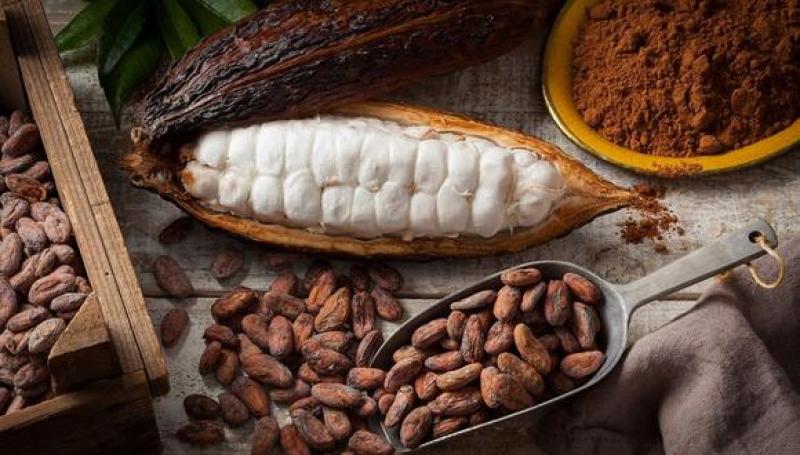 Cacao peruano en la lista de alerta de la UE y con un nuevo control desde este mes