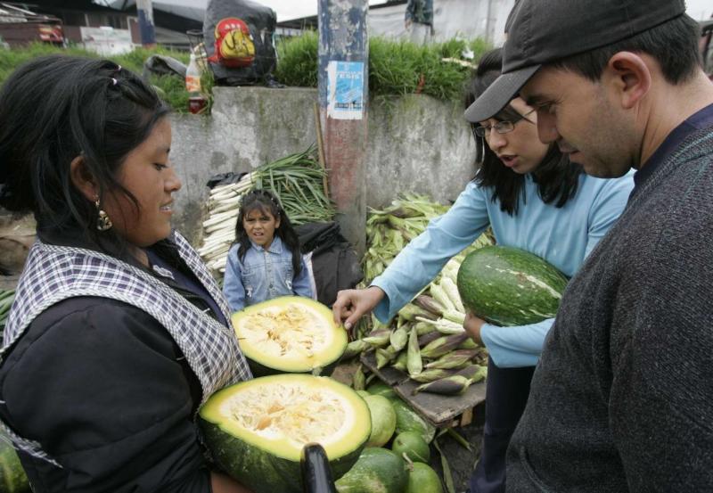 CAE PRECIO DEL ZAPALLO MACRE EN 17,4%