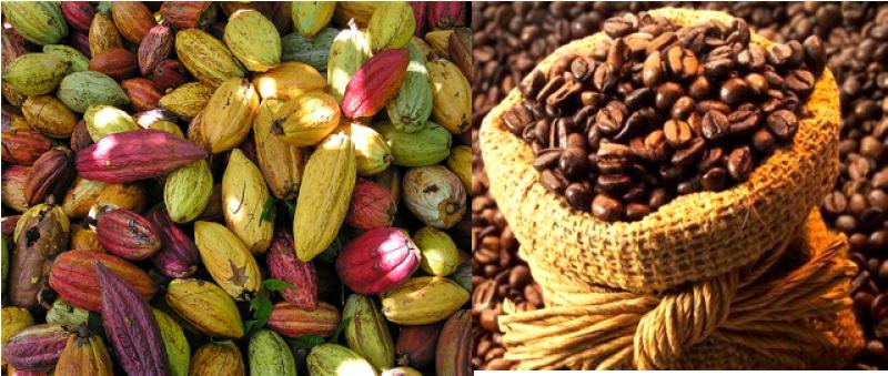 Café y cacao peruano por primera vez en el Congreso de Estados Unidos