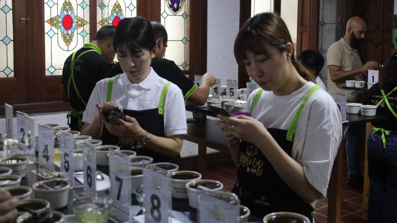 Cafés de Cajamarca y Cusco  se posicionaron como los mejores en el 6to Concurso de Café Fairtrade Golden Cup Perú