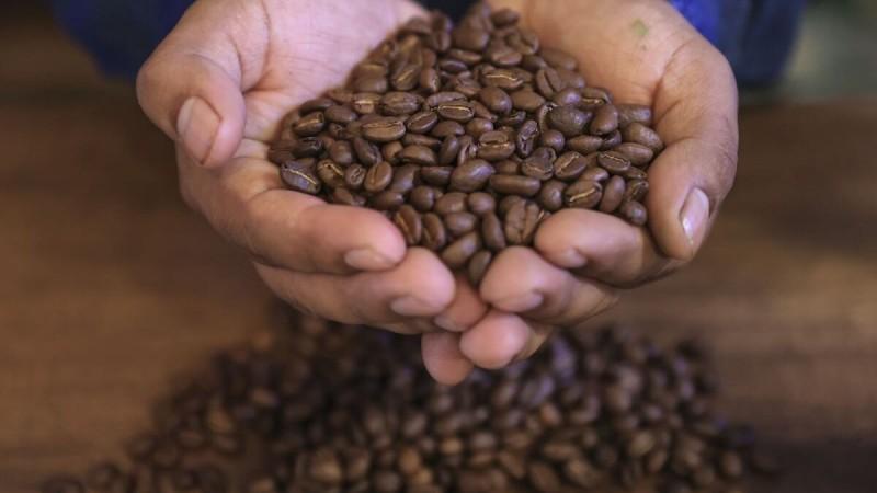 Cafés especiales ya representan el 20% de las exportaciones totales del grano peruano