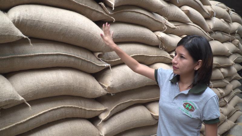 Cafetaleros de Amazonas exportan hacia Alemania