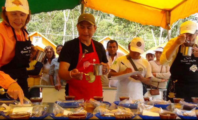 CAFICULTORES DE CHANCHAMAYO VENDIERON UN QUINTAL DE CAFÉ A US$ 2.350