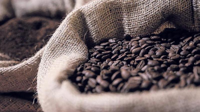 Cajamarca se posiciona como la principal región exportadora de café