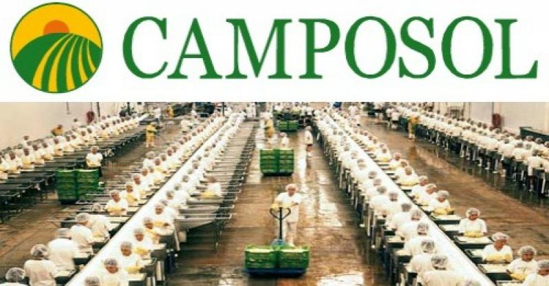 Camposol con menor inversión el próximo año