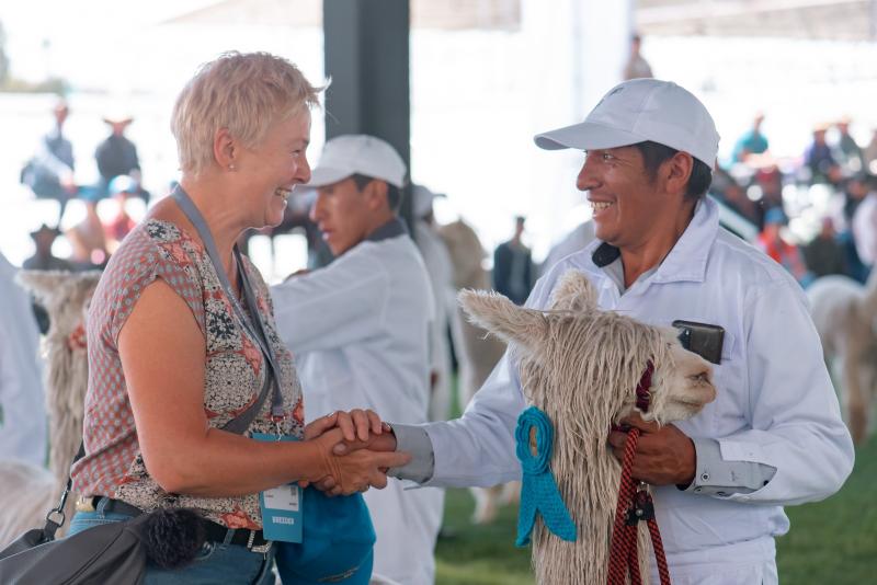 Casi 9.000 personas participaron de Alpaca Fiesta 2024