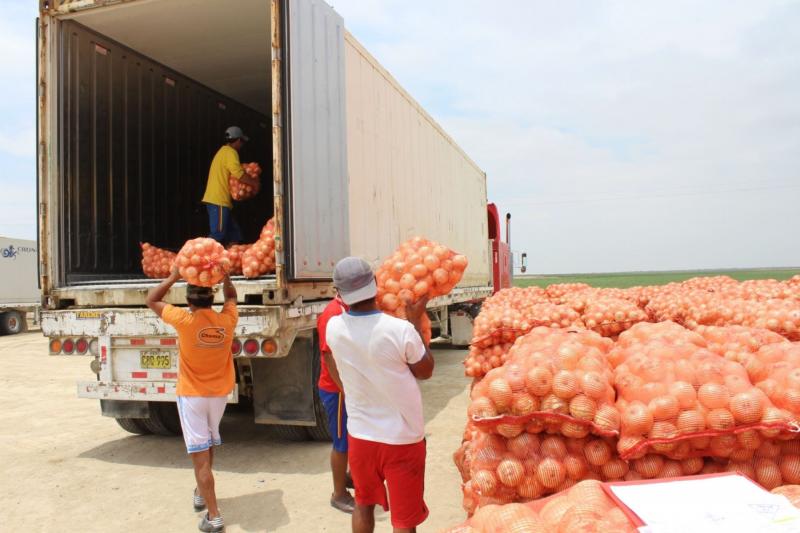 Cebolla peruana logra reingreso a Colombia