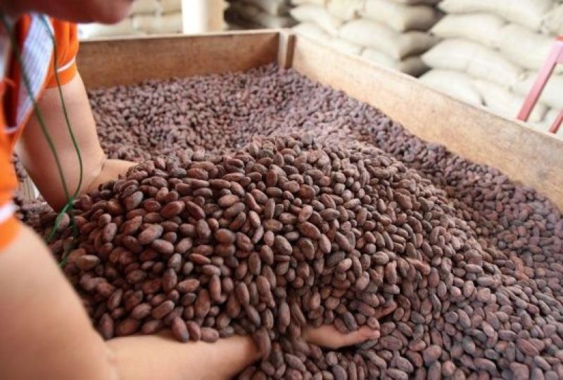 Cencosud se compromete a promover el cacao peruano y sus derivados a nivel nacional e internacional