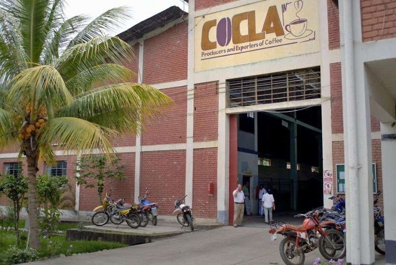 CENTRAL COOPERATIVA COCLA REINICIA EXPORTACIÓN DE CAFÉ