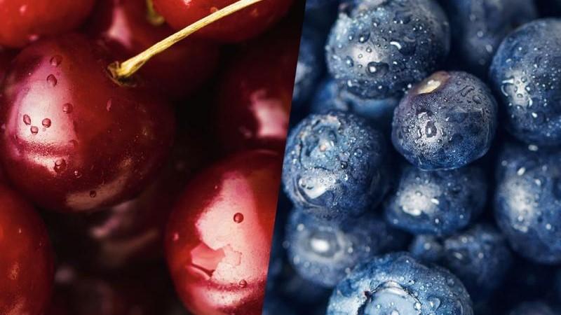 Chile bate récord de exportación de fruta fresca