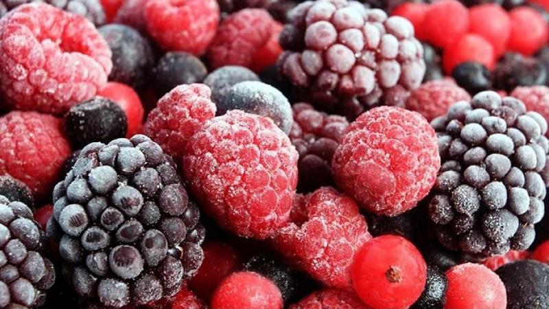 Chile firma protocolo para ampliar a 17 las especies de frutos exportados a China