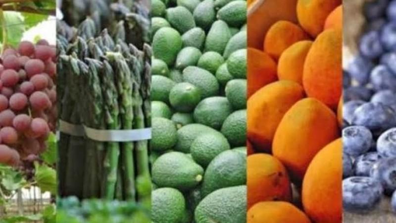 Chile y México entre los principales destinos de la agroexportación peruana hasta junio de 2026