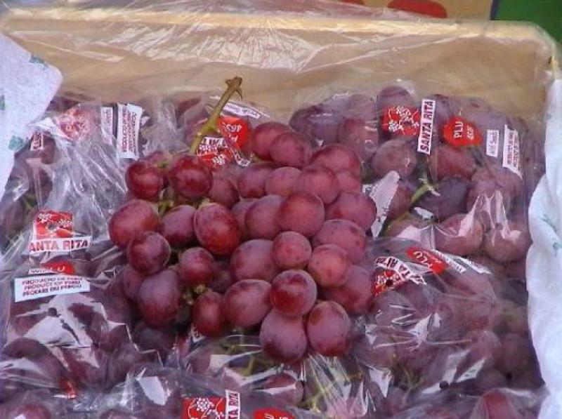 China busca más proveedores peruanos de frutas