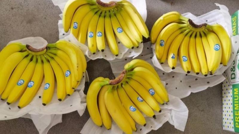 China importó 1.2 millones de toneladas de banano por US$ 654,7 millones hasta septiembre de este año