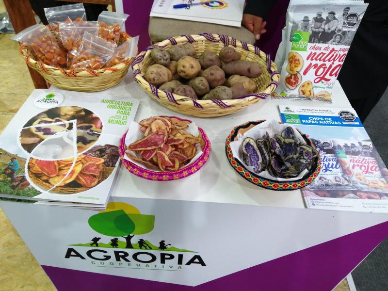 Chips de papa nativa de Huancavelica triunfan en Europa