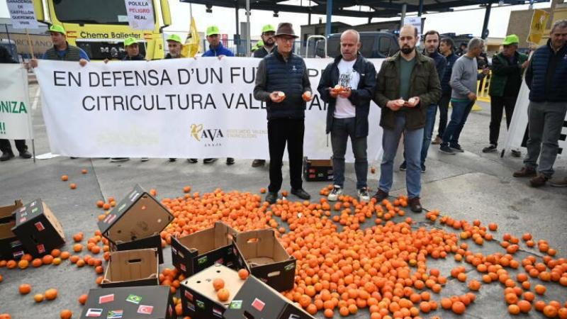 Cítrico español pierde cuota en la UE