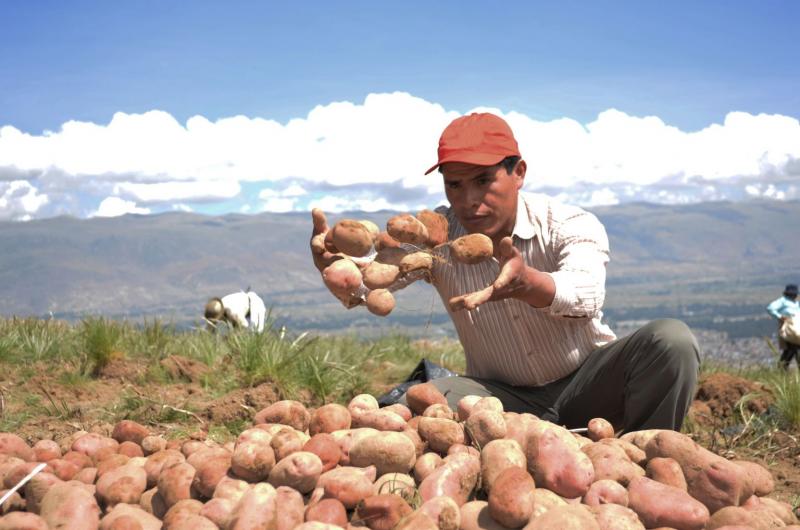 Cofide aún no tiene fecha de subasta para otorgar créditos vía FAE-Agro