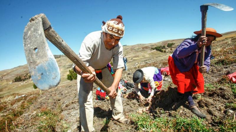 Cofide inició subastas de FAE Agro y colocó los primeros S/ 20 millones a tasas promedio de 6.25%