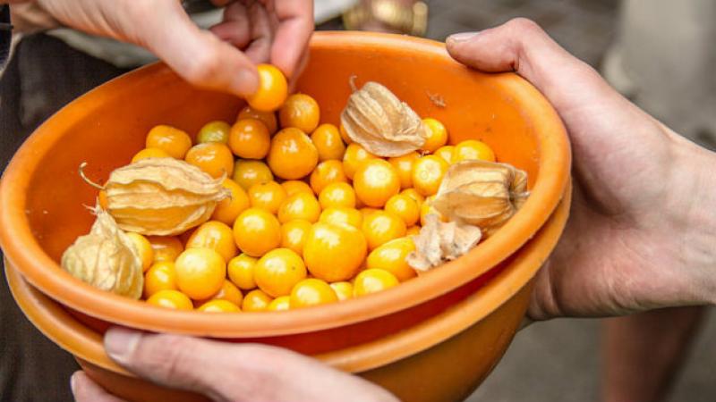 Colombia tiene importante potencial de exportación en varios frutos