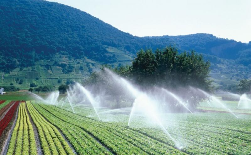 COMENZÓ LA SEMANA DEL AGUA 