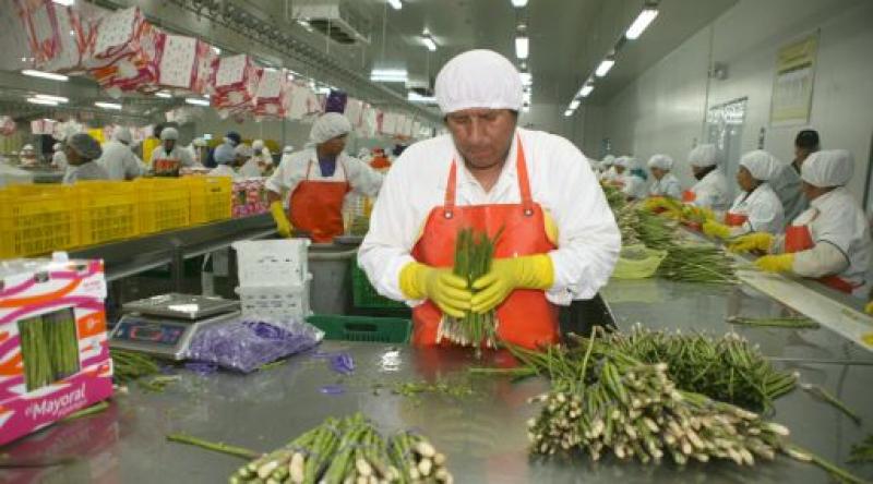 COMPRADORES DE EMIRATOS ÁRABES INTERESADOS EN LAS FRUTAS Y VEGETALES DE PERÚ